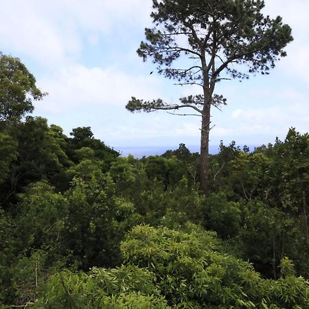 Casas Do Caminho Novo São Roque do Pico Екстериор снимка